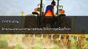 การทำงาน