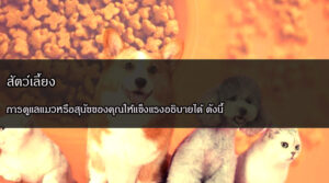 สัตว์เลี้ยง